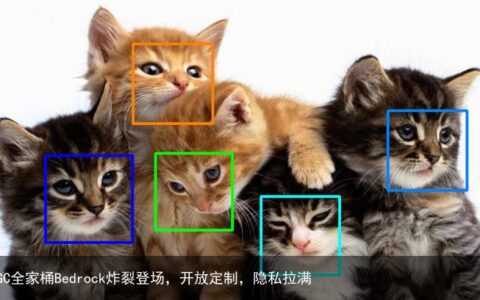亚马逊云科技AIGC全家桶Bedrock炸裂登场，开放定制，隐私拉满