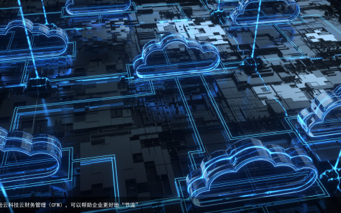 亚马逊云科技云财务管理（CFM），可以帮助企业更好地“节流”