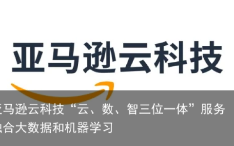 亚马逊云科技“云、数、智三位一体”服务 融合大数据和机器学习