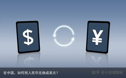 在中国，如何把人民币兑换成美元？