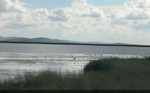 怎么样把人民币兑换成美元或外币？这几种正当的方式你应该知道