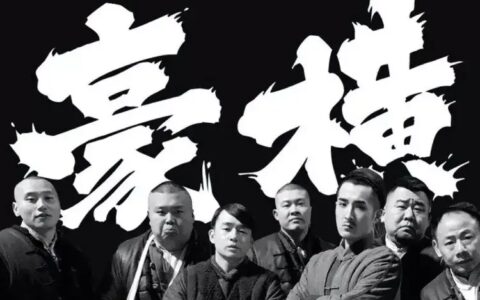 追剧神器！！免VIP观看