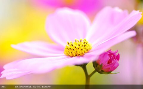 近期，四大生肖财库充盈，财运一片好，生活光景大好