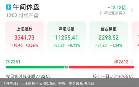 A股午评：上证指数半日涨0.56% 中药、贵金属板块活跃