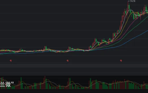 关于“士兰微”