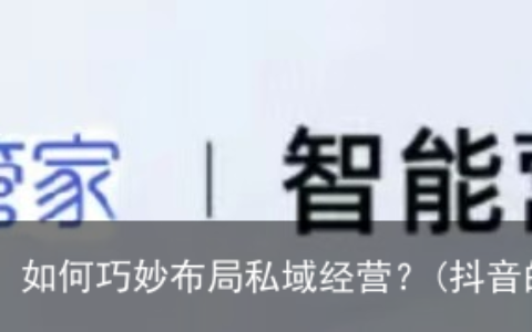 萌祖王春阳–抖音生意繁荣背后的秘密：如何巧妙布局私域经营？(抖音的大哥春阳是谁扮演的)