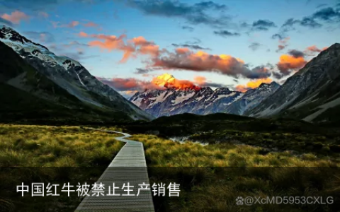 中国红牛被禁止生产销售