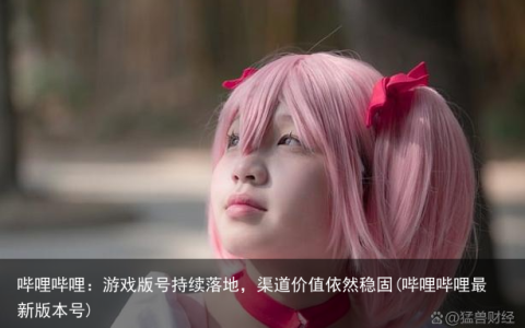 哔哩哔哩：游戏版号持续落地，渠道价值依然稳固(哔哩哔哩最新版本号)