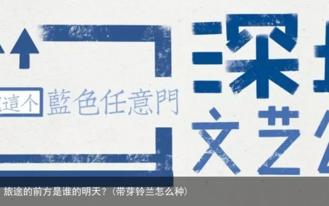 电影《铃芽之旅》 | 旅途的前方是谁的明天？(带芽铃兰怎么种)