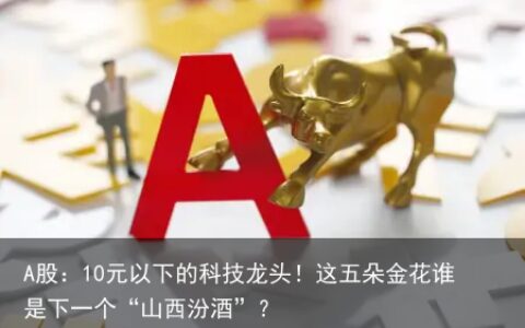 A股：10元以下的科技龙头！这五朵金花谁是下一个“山西汾酒”？