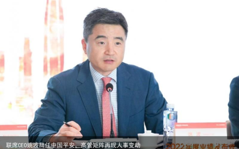 联席CEO姚波辞任中国平安，高管矩阵再现人事变动