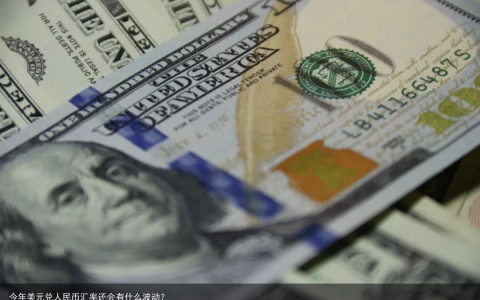 今年美元兑人民币汇率还会有什么波动？