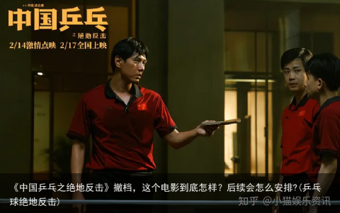《中国乒乓之绝地反击》撤档，这个电影到底怎样？后续会怎么安排?(乒乓球绝地反击)