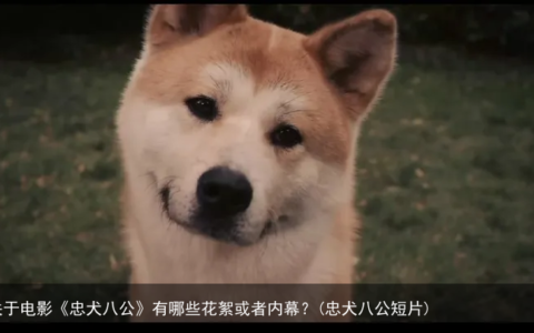 关于电影《忠犬八公》有哪些花絮或者内幕？(忠犬八公短片)