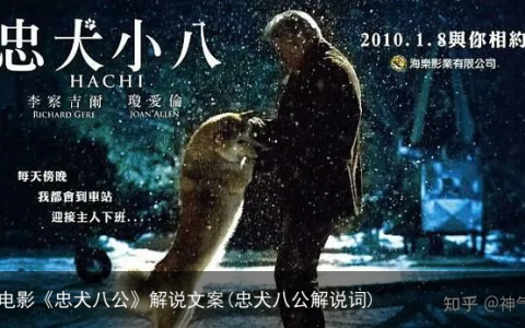 电影《忠犬八公》解说文案(忠犬八公解说词)