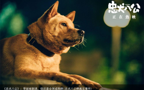 《忠犬八公》：早就被剧透，但还是会哭成狗啊(忠犬八公的真实事件)