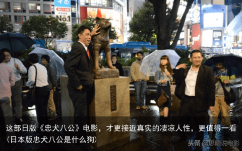 这部日版《忠犬八公》电影，才更接近真实的凄凉人性，更值得一看(日本版忠犬八公是什么狗)