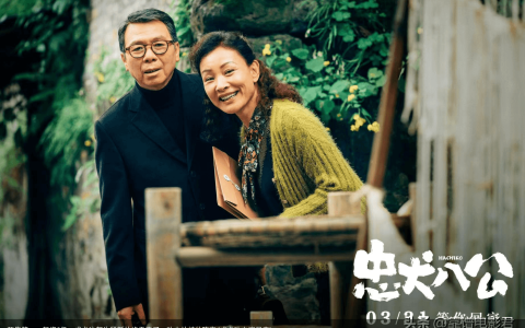 预售第一，耗资3亿，成龙这部生猛新片终于来了，功夫片神仙阵容(成龙功夫演员表)