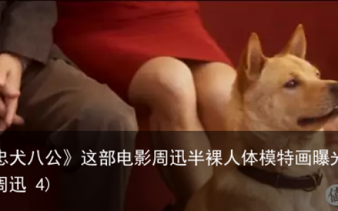 想起了《忠犬八公》这部电影