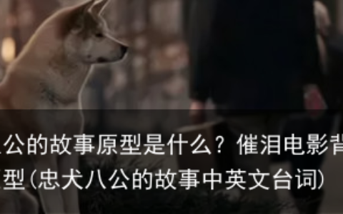 忠犬八公的故事原型是什么？催泪电影背后的故事原型(忠犬八公的故事中英文台词)