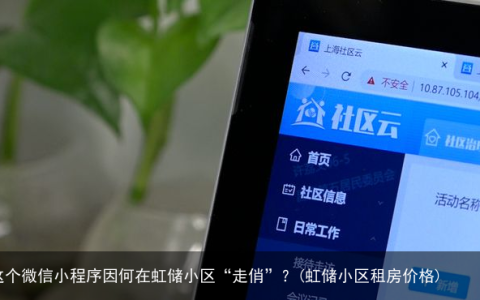 这个微信小程序因何在虹储小区“走俏”？(虹储小区租房价格)