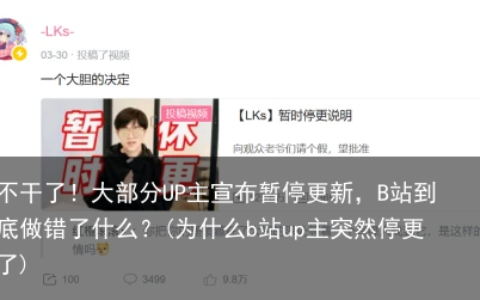 不干了！大部分UP主宣布暂停更新，B站到底做错了什么？(为什么b站up主突然停更了)