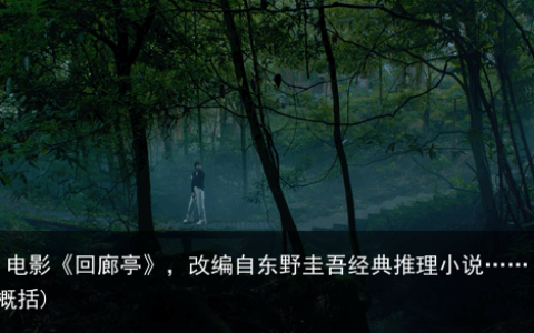 我的评分： 电影《回廊亭》，改编自东野圭吾经典推理小说……(回廊亭小说简介内容概括)