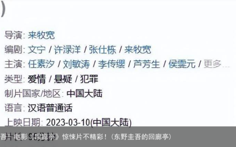 释放东野圭吾！电影《回廊亭》惊悚片不精彩！(东野圭吾的回廊亭)