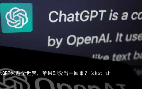 ChatGPT火遍全世界，苹果却没当一回事？(chat show)