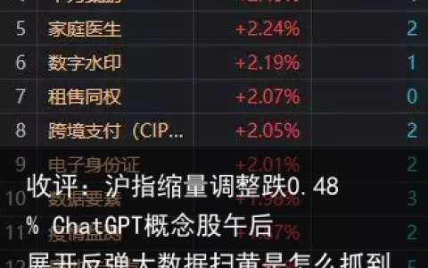 收评：沪指缩量调整跌0.48% ChatGPT概念股午后展开反弹
