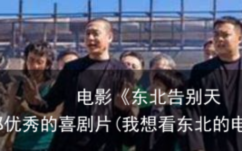 电影《东北告别天团》：一部优秀的喜剧片(我想看东北的电影)