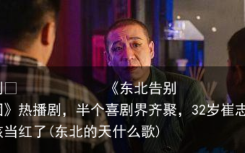 《东北告别天团》热播剧，半个喜剧界齐聚，32岁崔志佳该当红了(东北的天什么歌)
