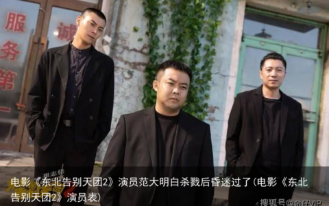 电影《东北告别天团2》演员范大明白杀戮后昏迷过了(电影《东北告别天团2》演员表)