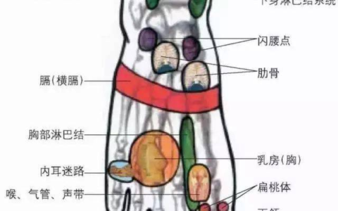 乳腺增生刮这里，有效！-联系我们大全