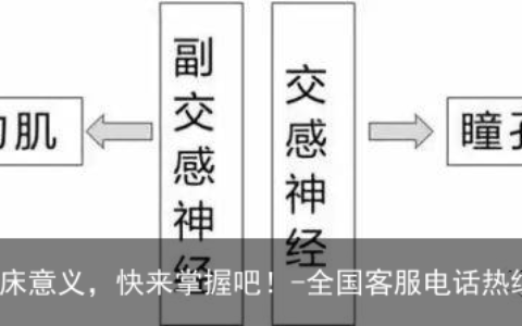 瞳孔变化的临床意义，快来掌握吧！-全国客服电话热线大全