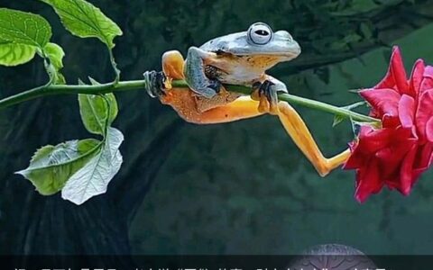 闰二月下旬是辰月，老人说“不做4件事，财守家也安”，啥意思？-闰年二月下旬