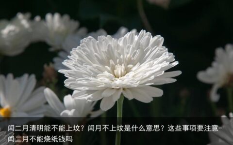 闰二月清明能不能上坟？闰月不上坟是什么意思？这些事项要注意-闰二月不能烧纸钱吗