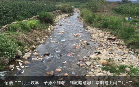 俗语“二月上坟早，子孙不到老”到底啥意思？清明碰上闰二月-二月上坟必须在二月初二吗