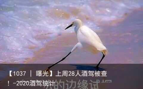 【1037 | 曝光】上周28人酒驾被查！-2020酒驾统计
