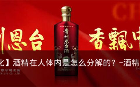 【恩台酒文化】酒精在人体内是怎么分解的？-酒精在人体中的分解