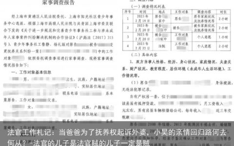 法官工作札记：当爸爸为了抚养权起诉外婆，小昊的亲情回归路何去何从？-法官的儿子是法官贼的儿子一定是贼