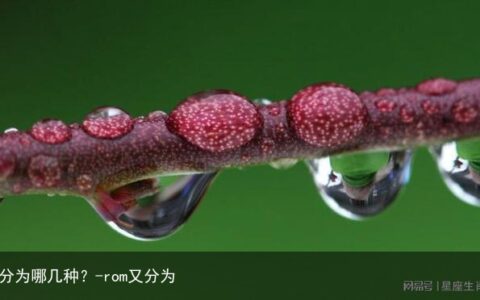 m分为哪几种？-rom又分为