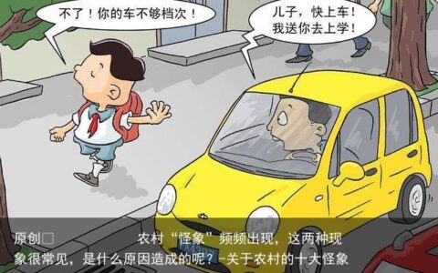 农村“怪象”频频出现，这两种现象很常见，是什么原因造成的呢？