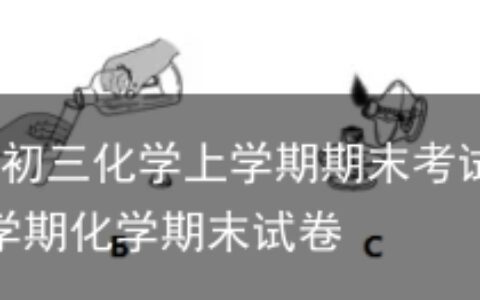 期末复习丨初三化学上学期期末考试试题及答案-初三上学期化学期末试卷