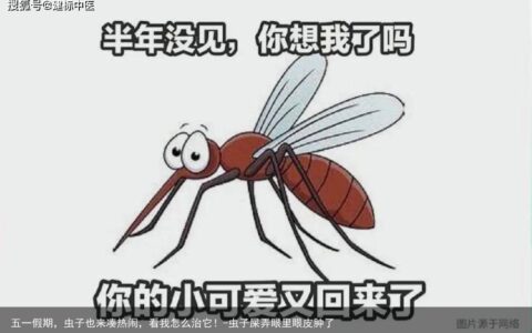五一假期，虫子也来凑热闹，看我怎么治它！-虫子屎弄眼里眼皮肿了