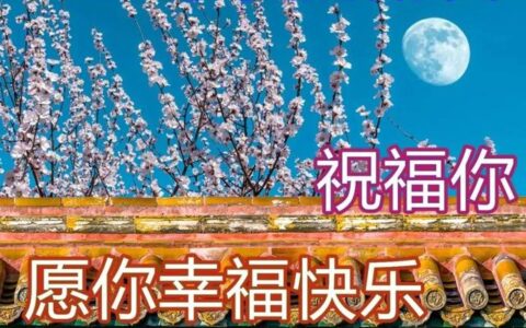 清晨早上好漂亮表情祝福语美图，致早安的表情图带字-早晨祝福语表情包