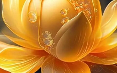 早上好祝福短句，2023春天特别漂亮风景早安动图-2020年早上好祝福语和图片最美的早安图片