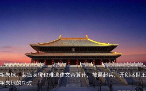 明成祖朱棣，装疯卖傻也难逃建文帝算计，被逼起兵，开创盛世王朝-明成祖朱棣的功过