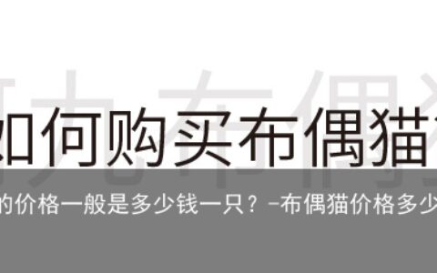 布偶猫的价格一般是多少钱一只？-布偶猫价格多少钱一只2021