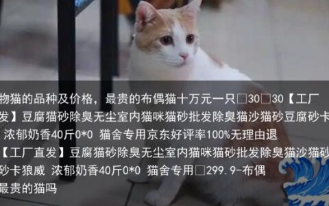 宠物猫的品种及价格，最贵的布偶猫十万元一只